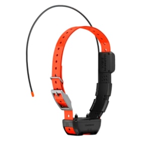Coleira com GPS Garmin Alpha TT 25 Dog Collar - Preto