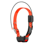 Coleira com GPS Garmin Alpha TT 25 Dog Collar - Preto-f1a1e8ce-6fd7-4a90-8165-856008389e2a